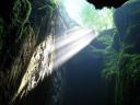 Sunlight in a mossy cave